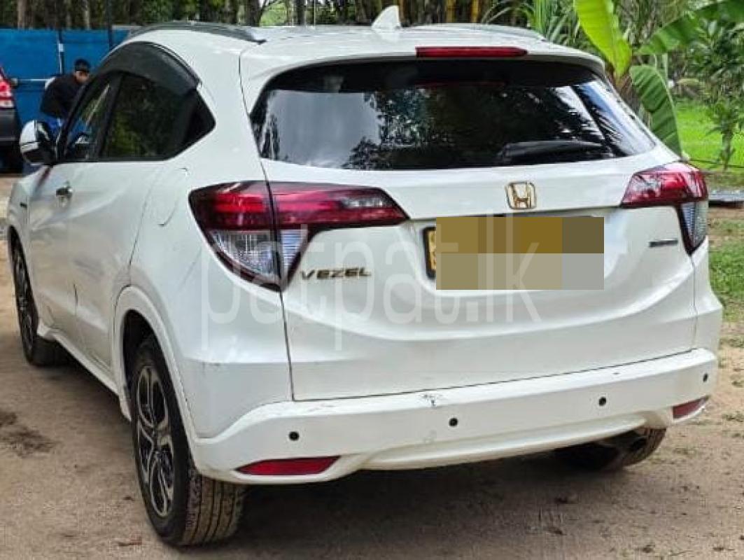 Advertisement image 3