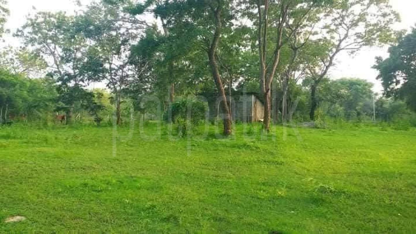 Residential Land for Sale in Kataragama