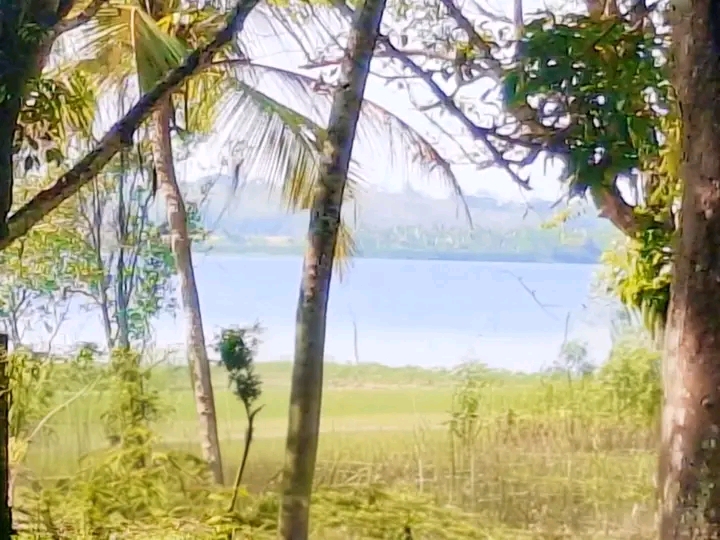 Residential Land for Sale in Panadura