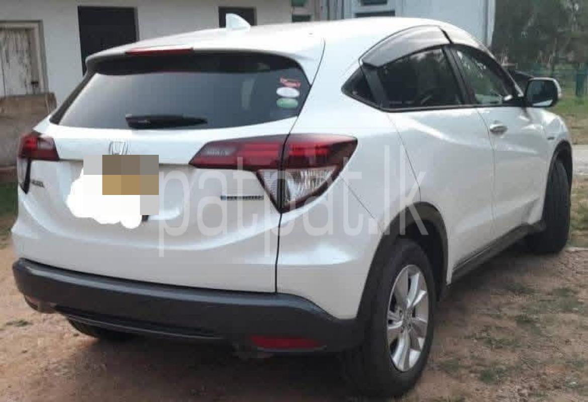 Advertisement image 1