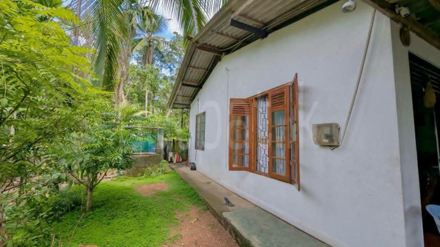 House for Sale in Weliveriya