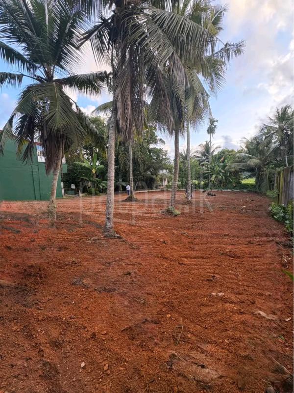 Residential Land for Sale in Ja-Ela