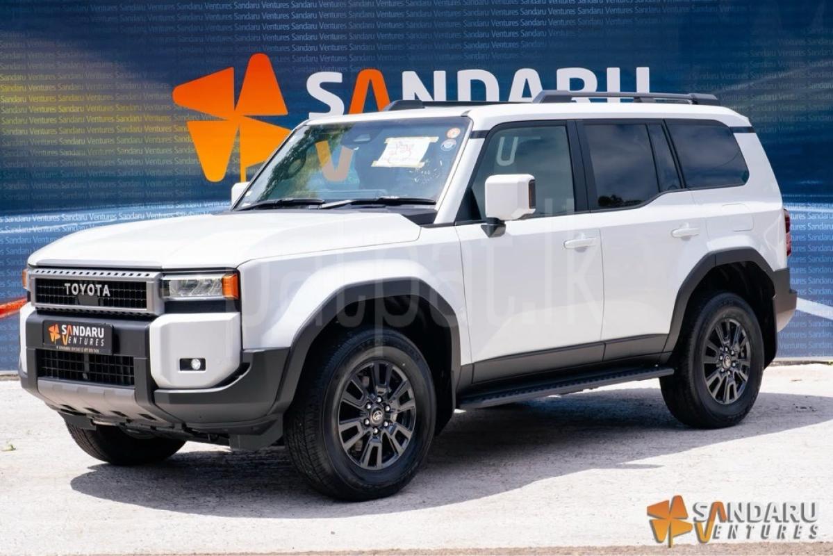 Advertisement image 3