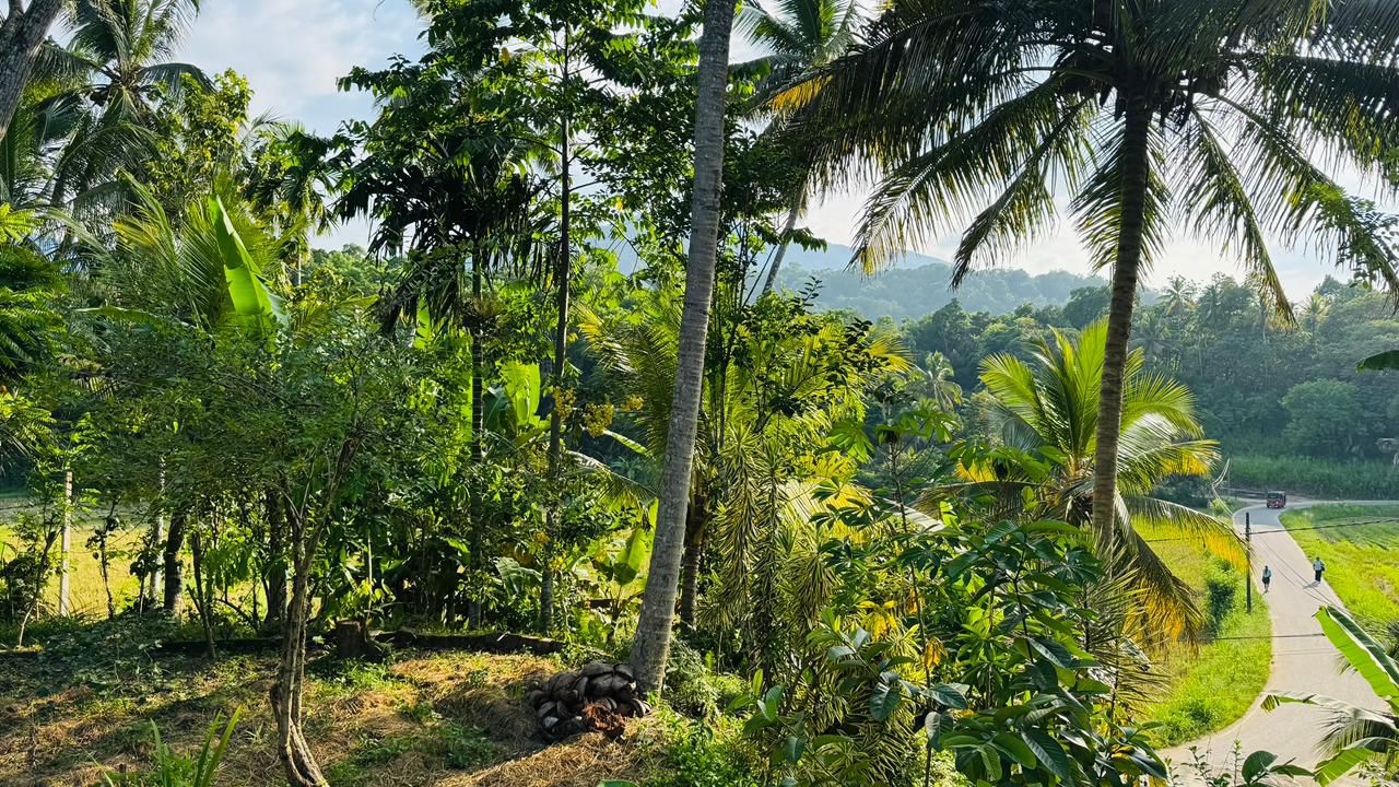 Commercial Land for Sale in Aranayaka