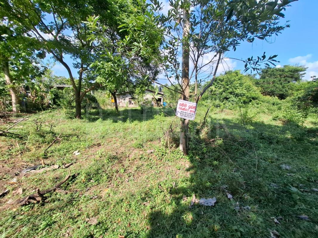 Residential Land for Sale in Torayaya