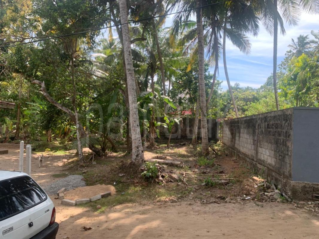 Residential Land for Sale in Panadura ads-image-1