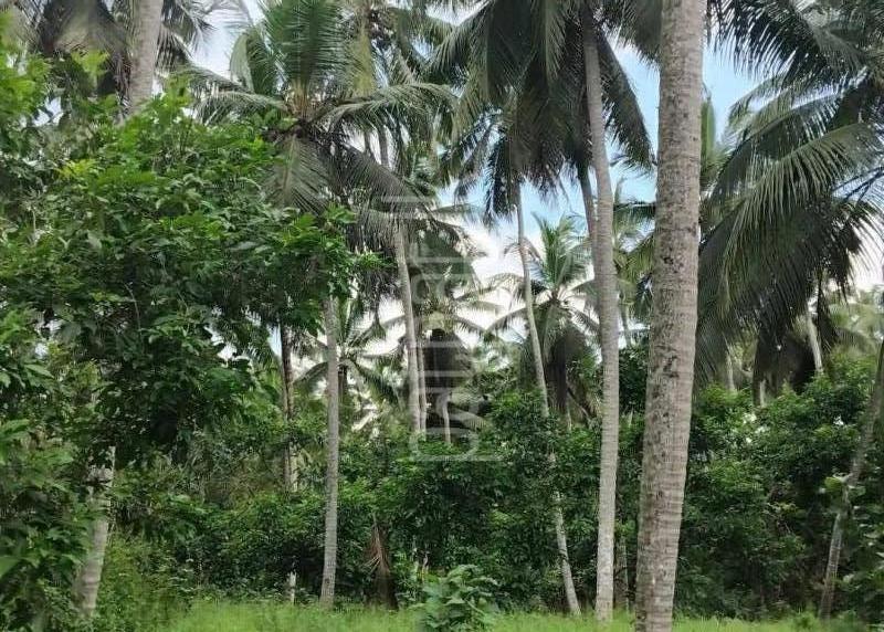 Agricultural Land for Sale in Badalgama