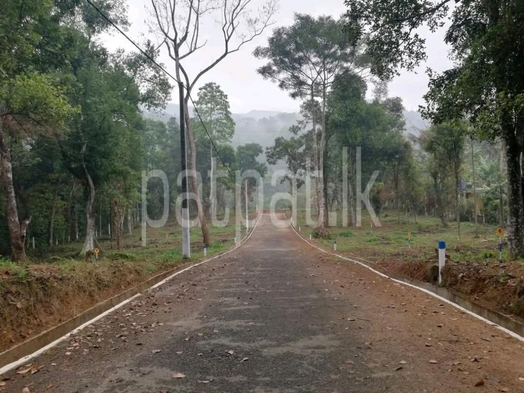 Agricultural Land for Sale in Nuwara Eliya