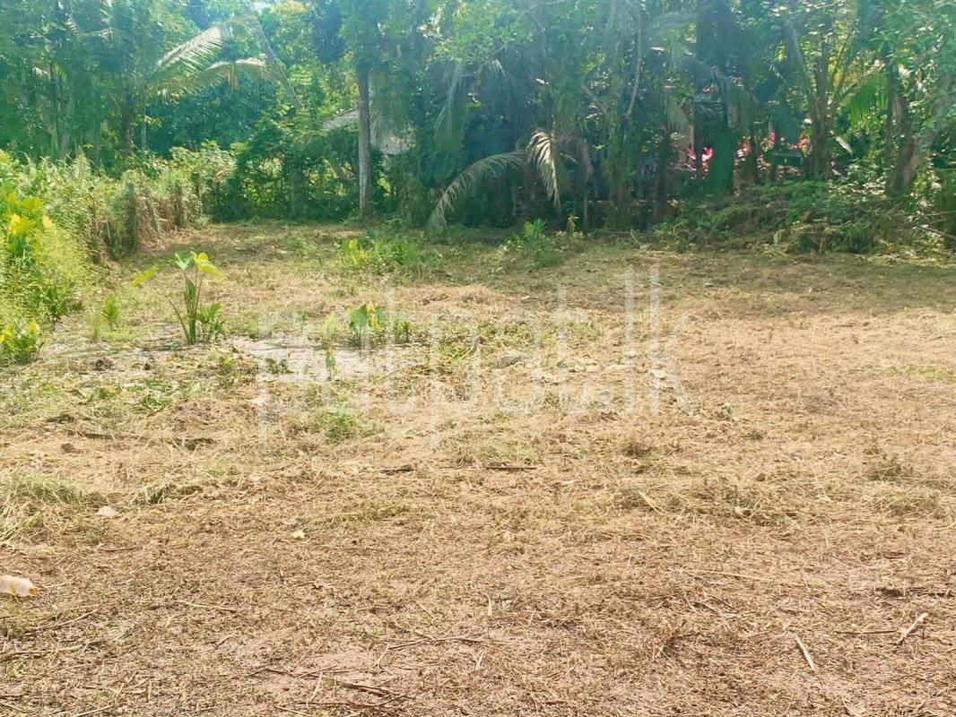 Residential Land for Sale in Udugampola
