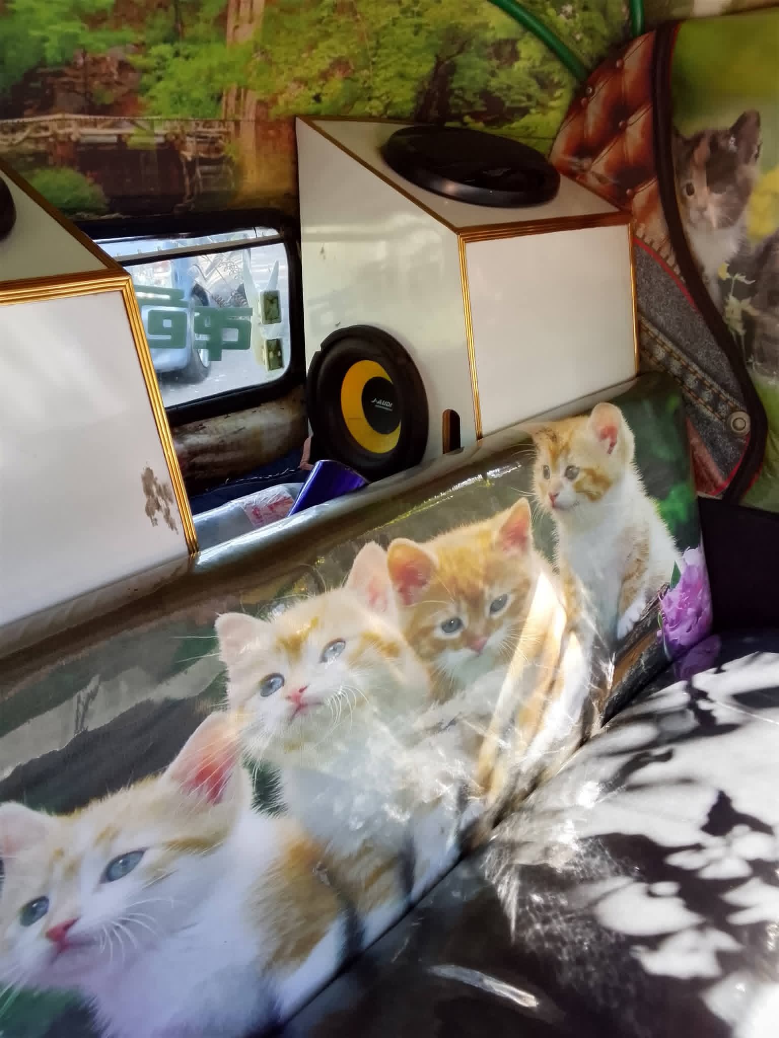 Bajaj Three Wheel 2004 - Used Three wheeler sale in Sri Lanka - patpat.lk