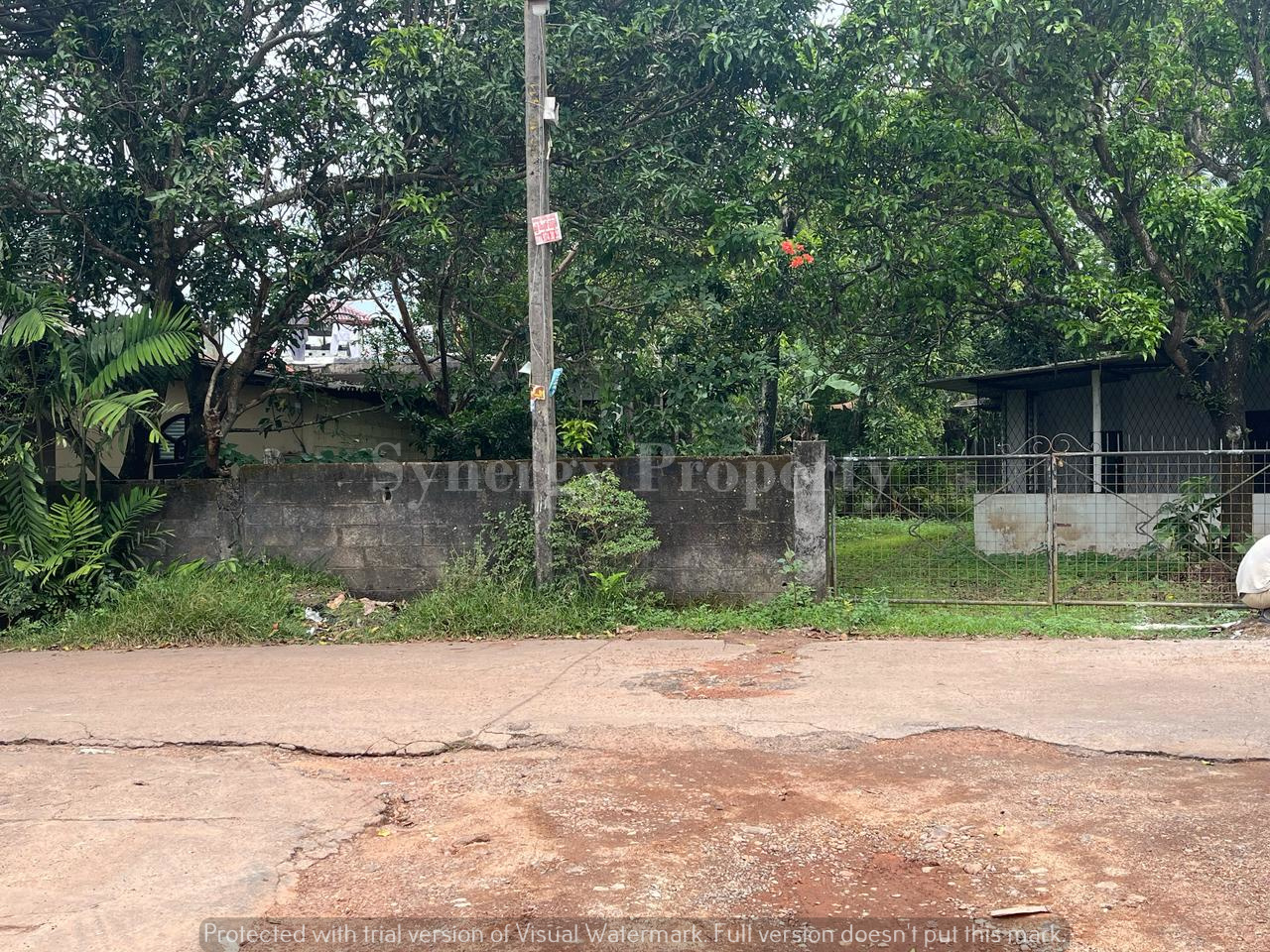 Advertisement image 5