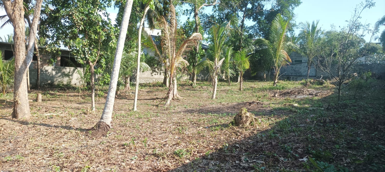 Residential Land for Sale in Ragama