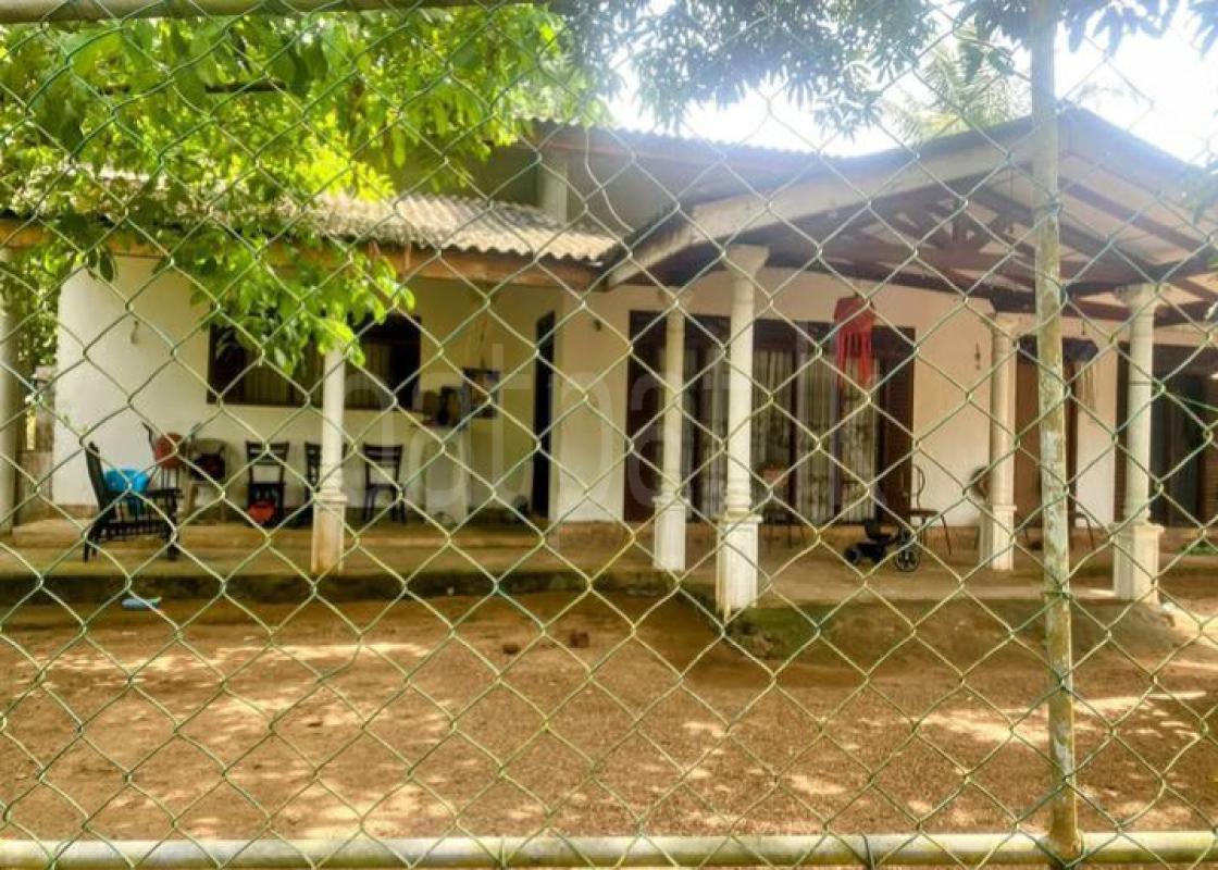 House for Rent in Kahathuduwa ads-image-1