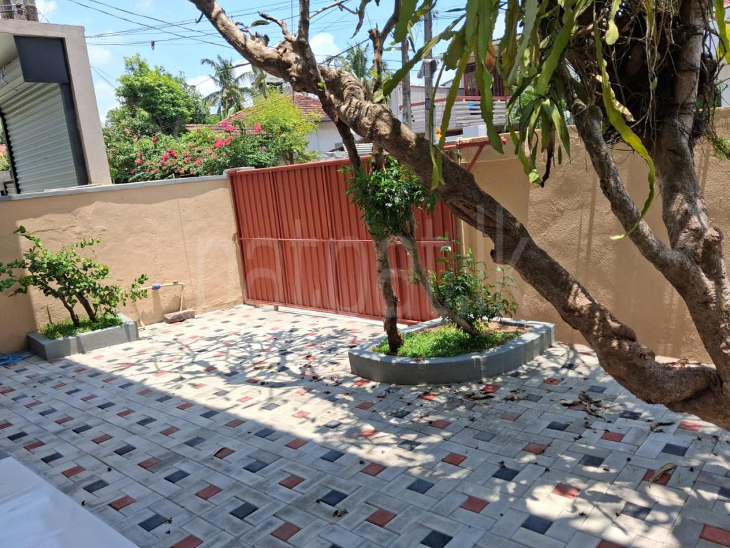 House for Rent in Dehiwala ads-image-1