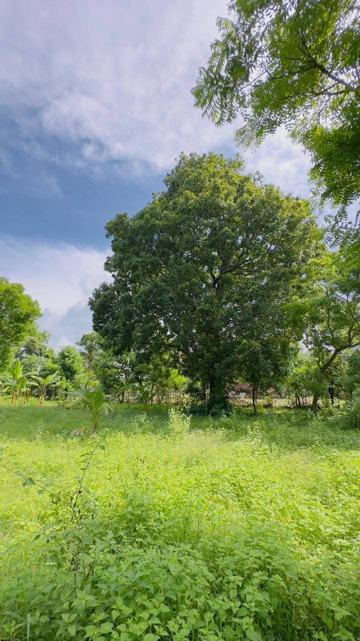 Residential Land for Sale in Kataragama