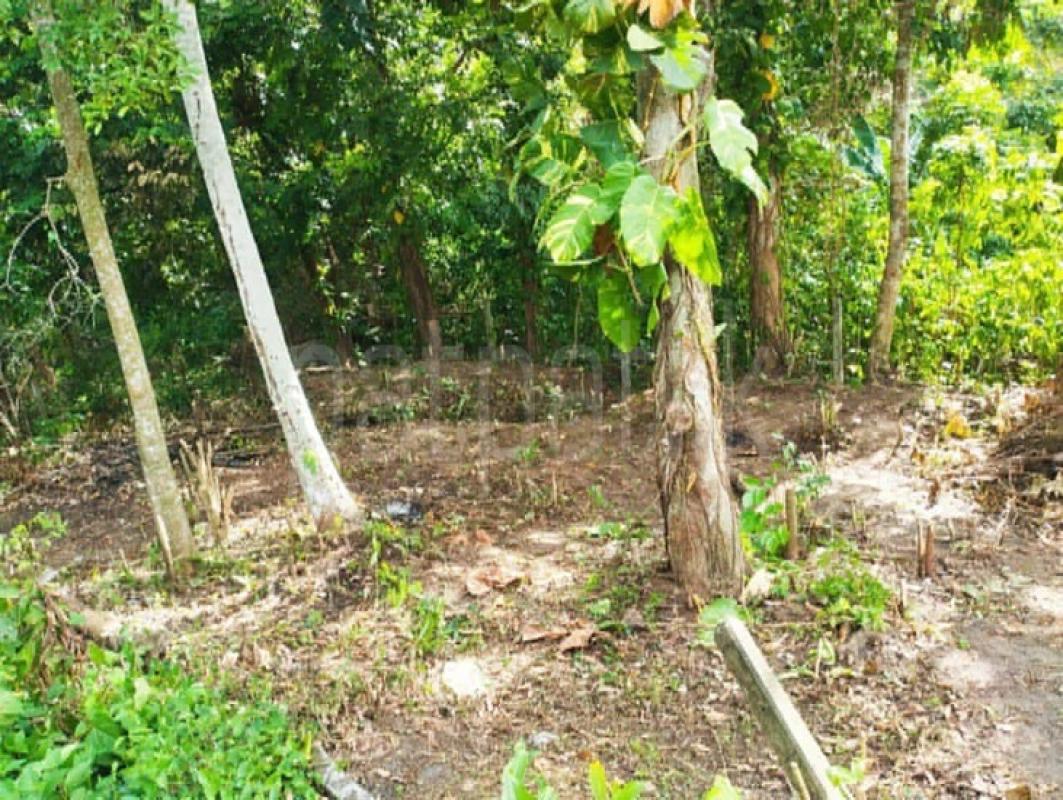 Residential Land for Sale in Karapitiya ads-image-1