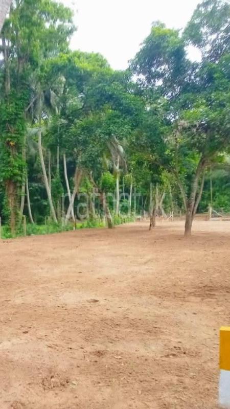 Commercial Land for Sale in Divulapitiya ads-image-1