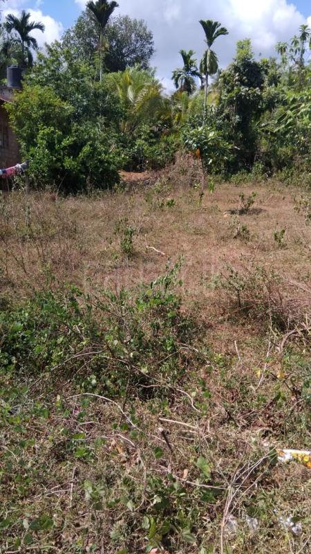 Residential Land for Sale in Moragahahena