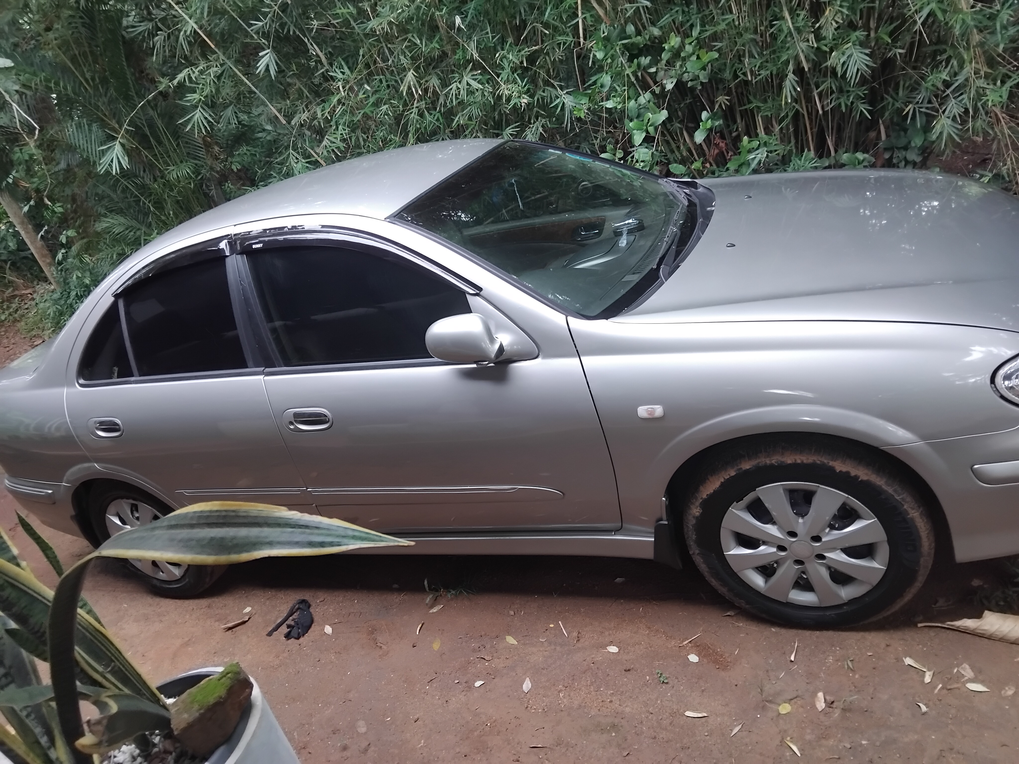 Advertisement image 4