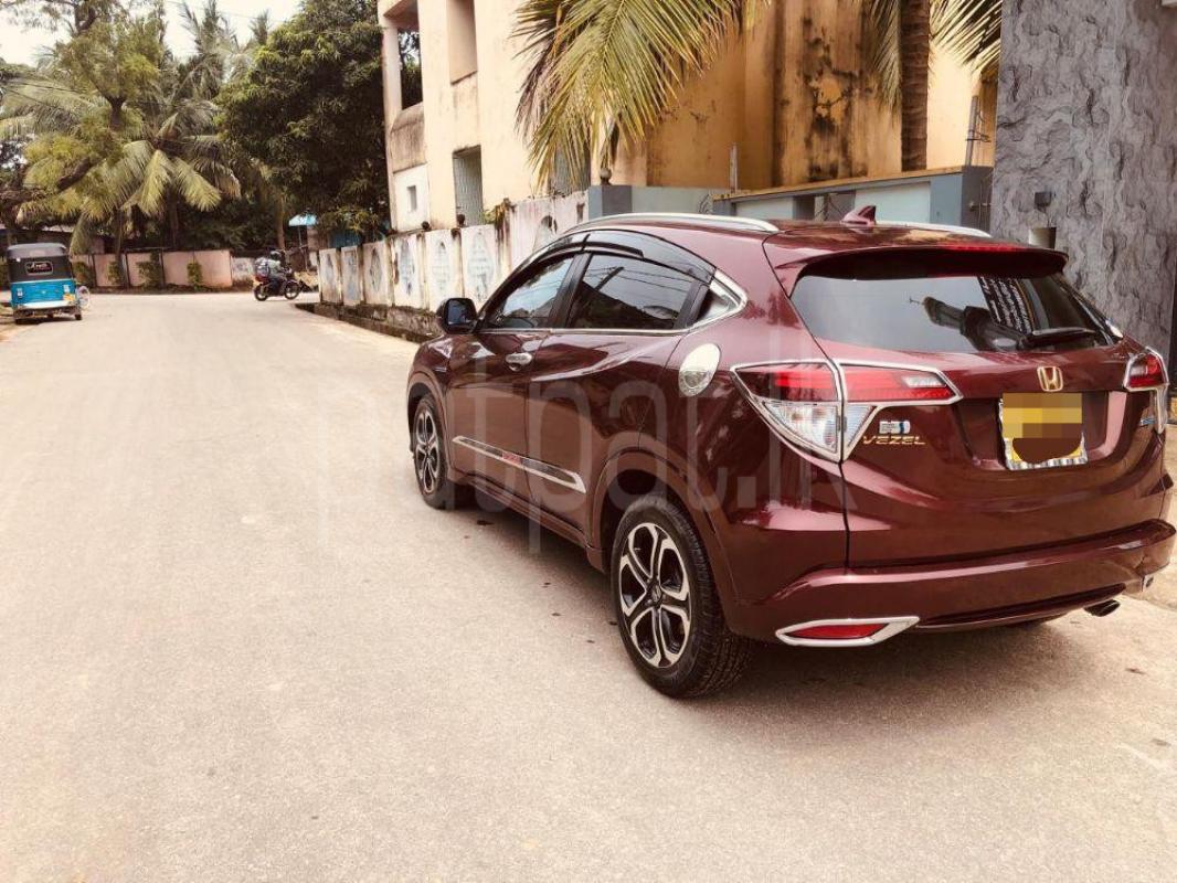 Advertisement image 3