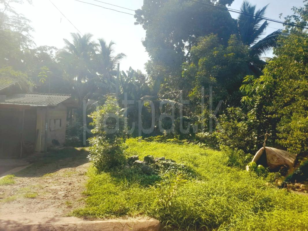 Agricultural Land for Sale in Dompe