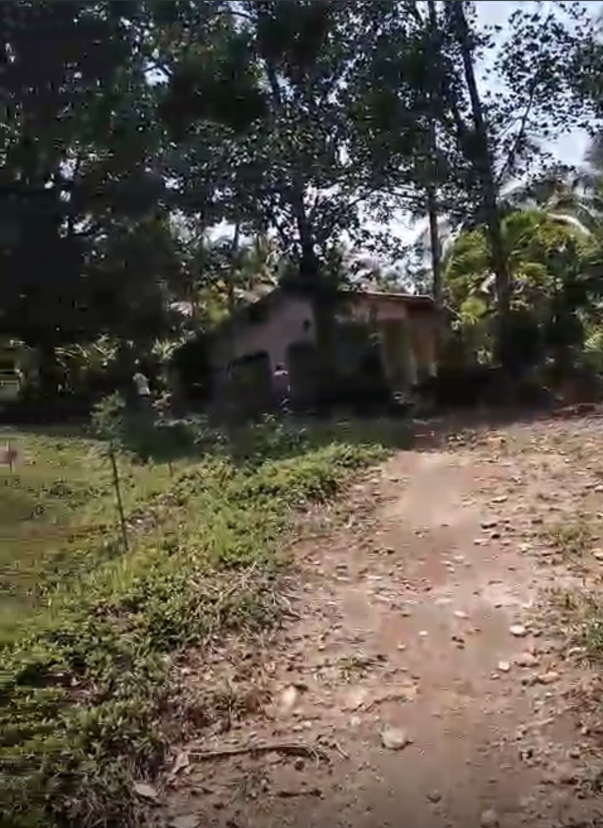 Agricultural Land for Sale in Avissawella