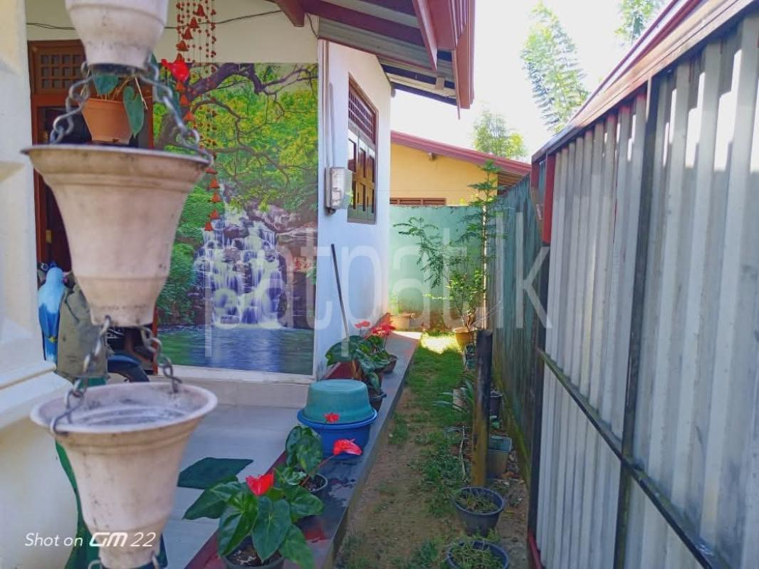 House for Sale in Homagama