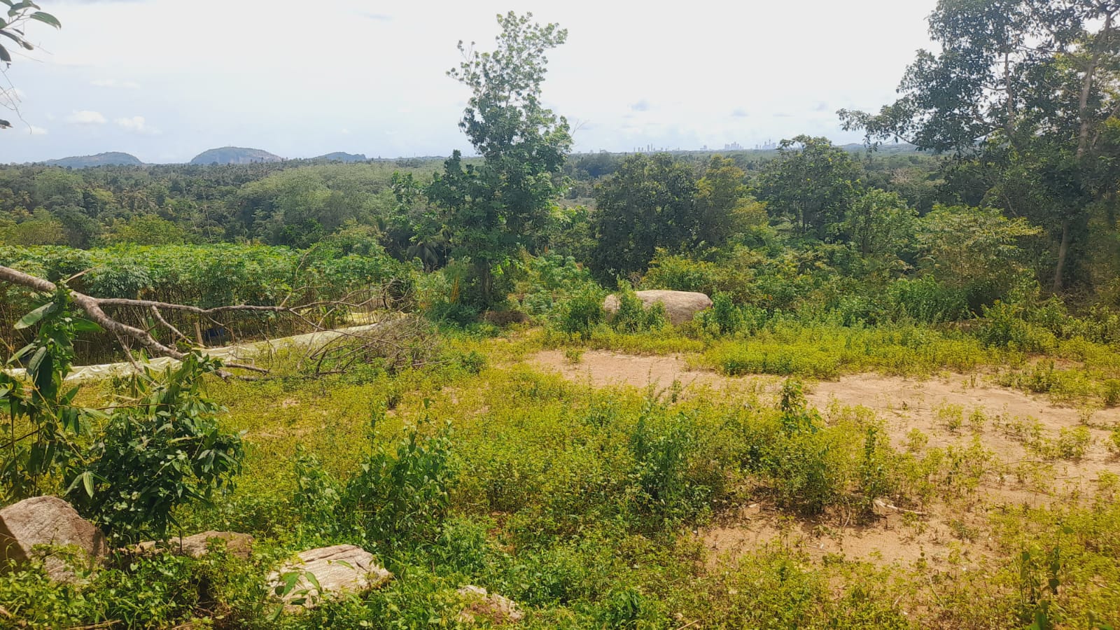 Agricultural Land for Sale in Dompe