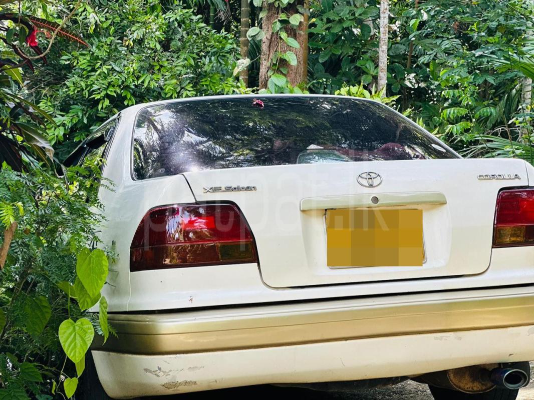 Toyota Corolla 1996 - Used Car sale in Sri Lanka - patpat.lk
