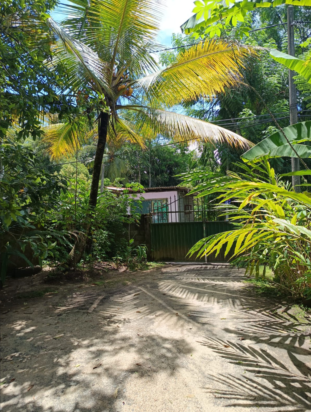 House for Sale in Pilimatalawa