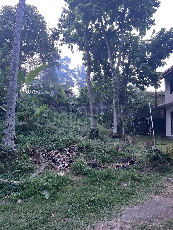 Residential Land for Sale in Ja-Ela