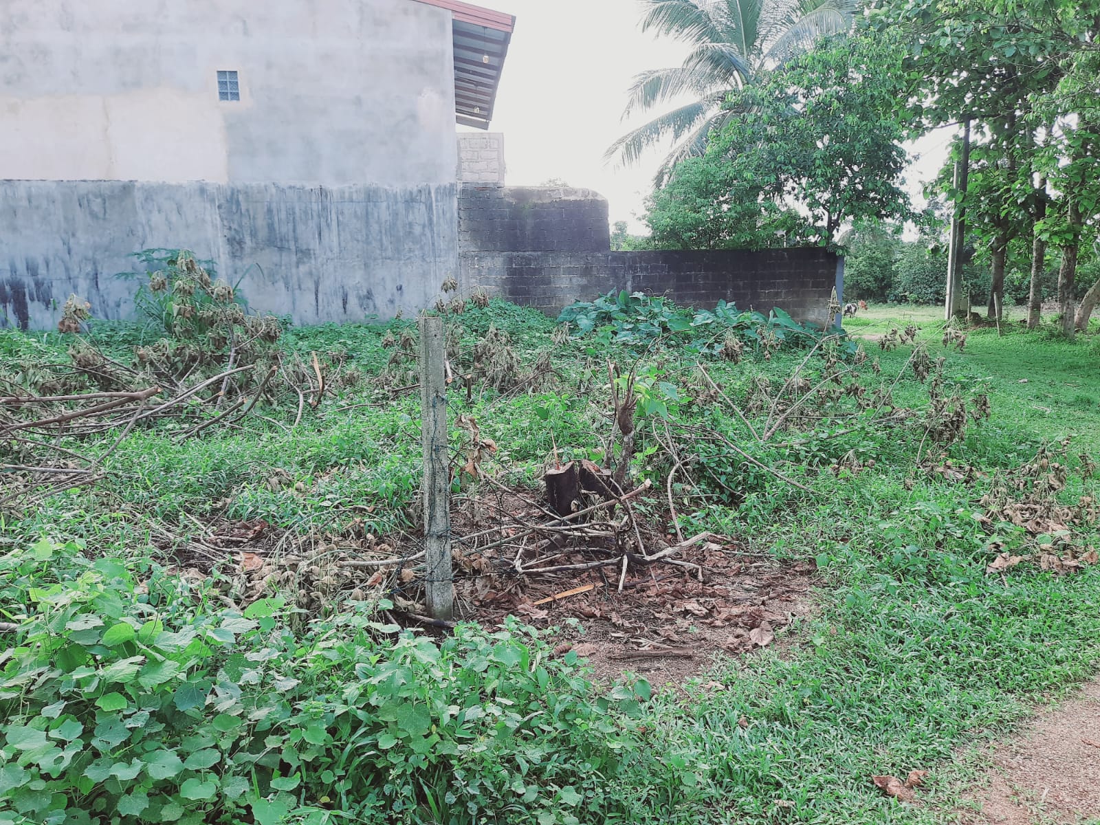 Agricultural Land for Sale in Meegoda