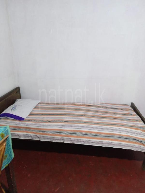 Room for Rent in Nugegoda