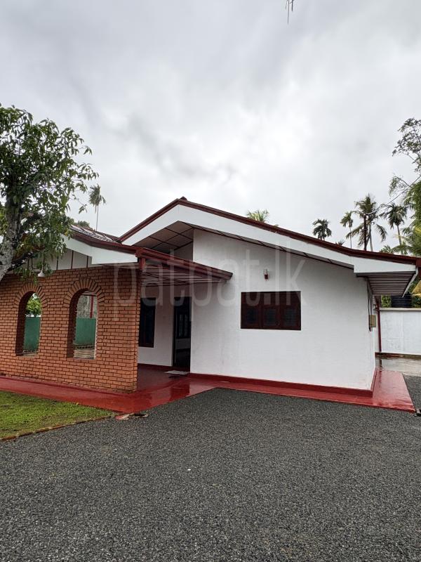 premium-listing-image