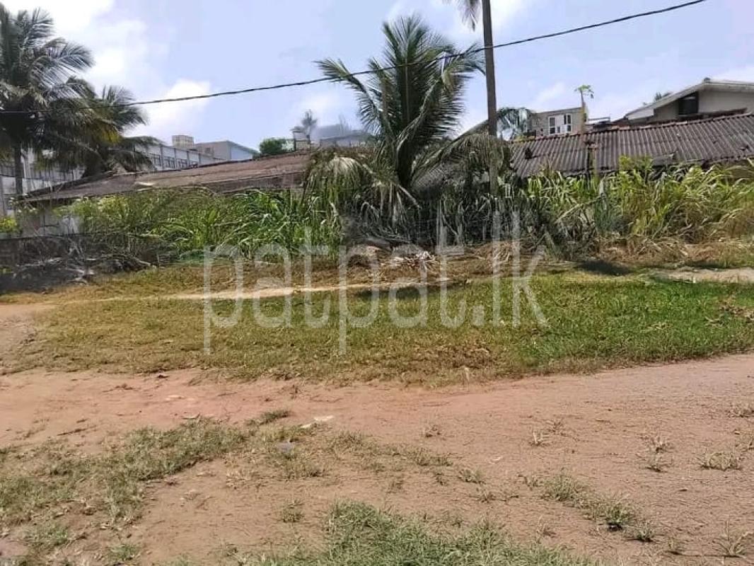 Advertisement image 1