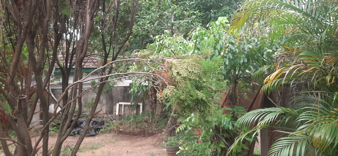 Commercial Land for Sale in Kalubowila