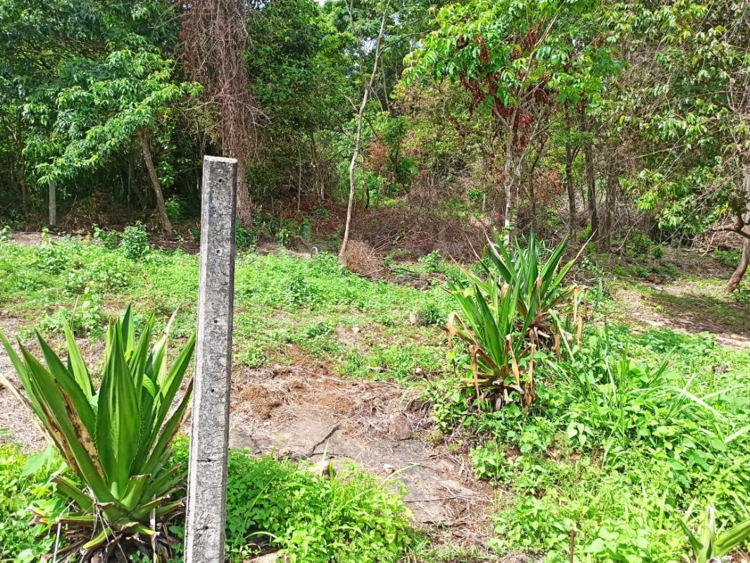 premium-listing-image