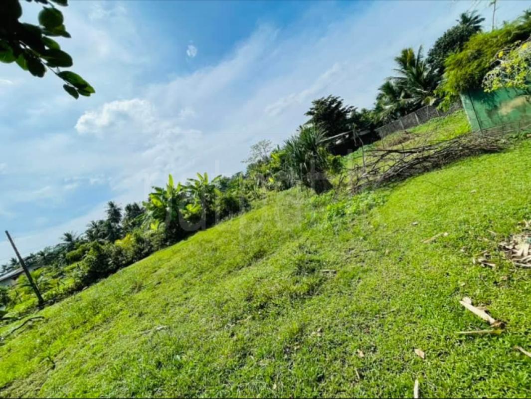 Residential Land for Sale in Polhena ads-image-1