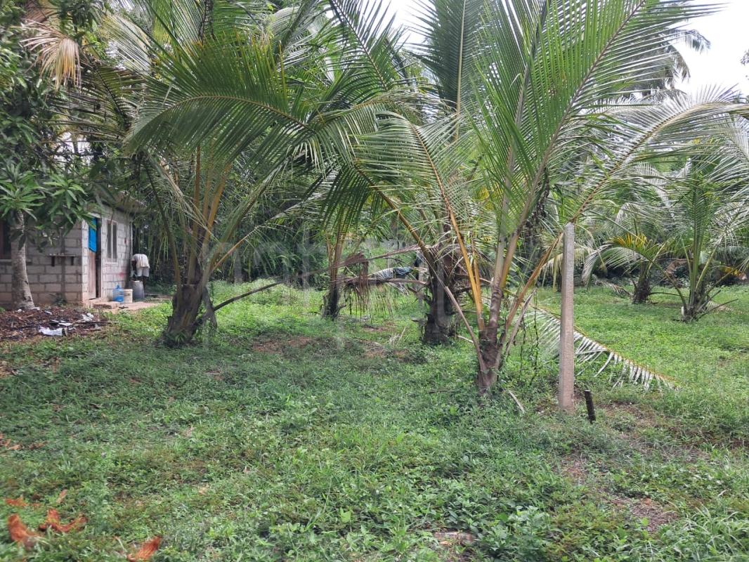 Residential Land for Sale in Angoda ads-image-1
