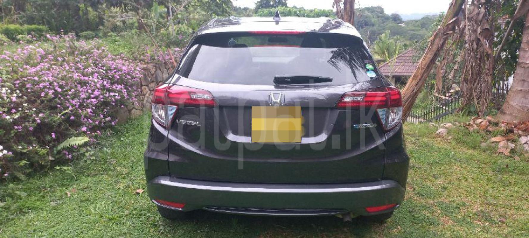 Advertisement image 6