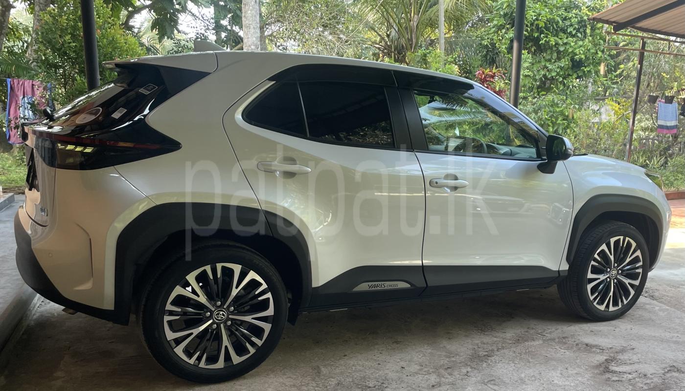 Advertisement image 2