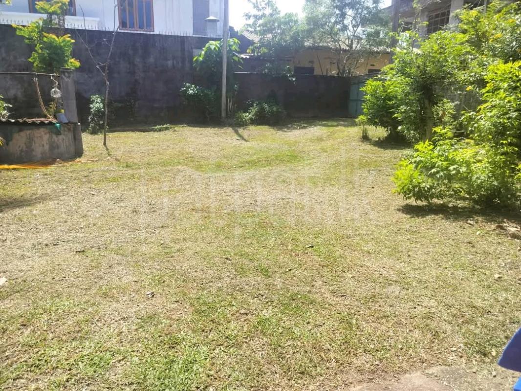 Commercial Land for Sale in Kandana ads-image-1