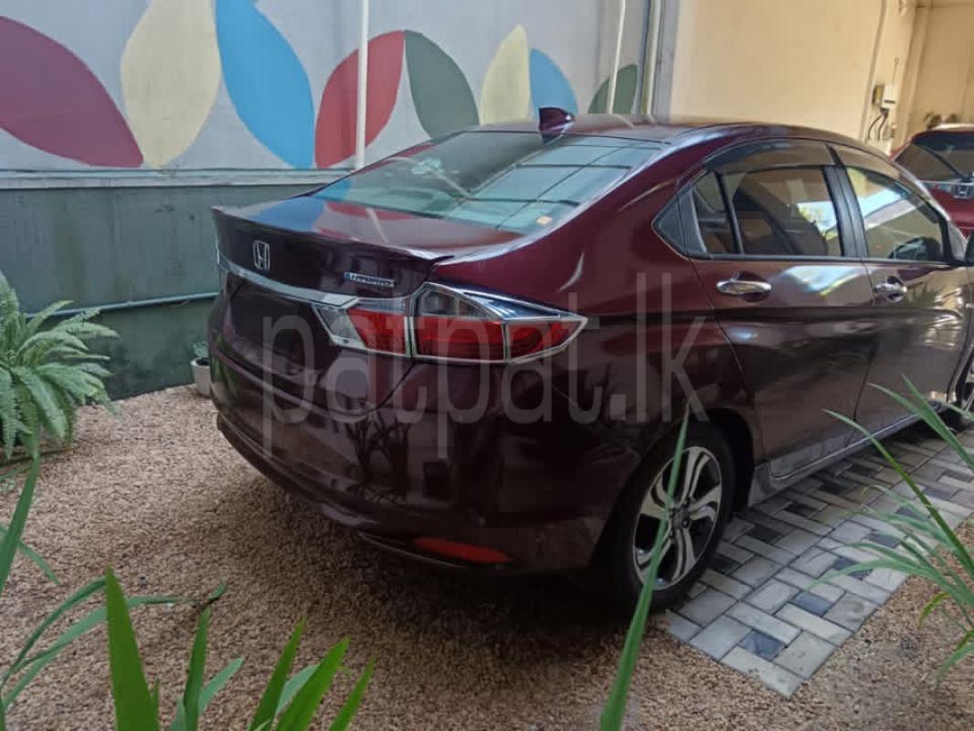 Advertisement image 5