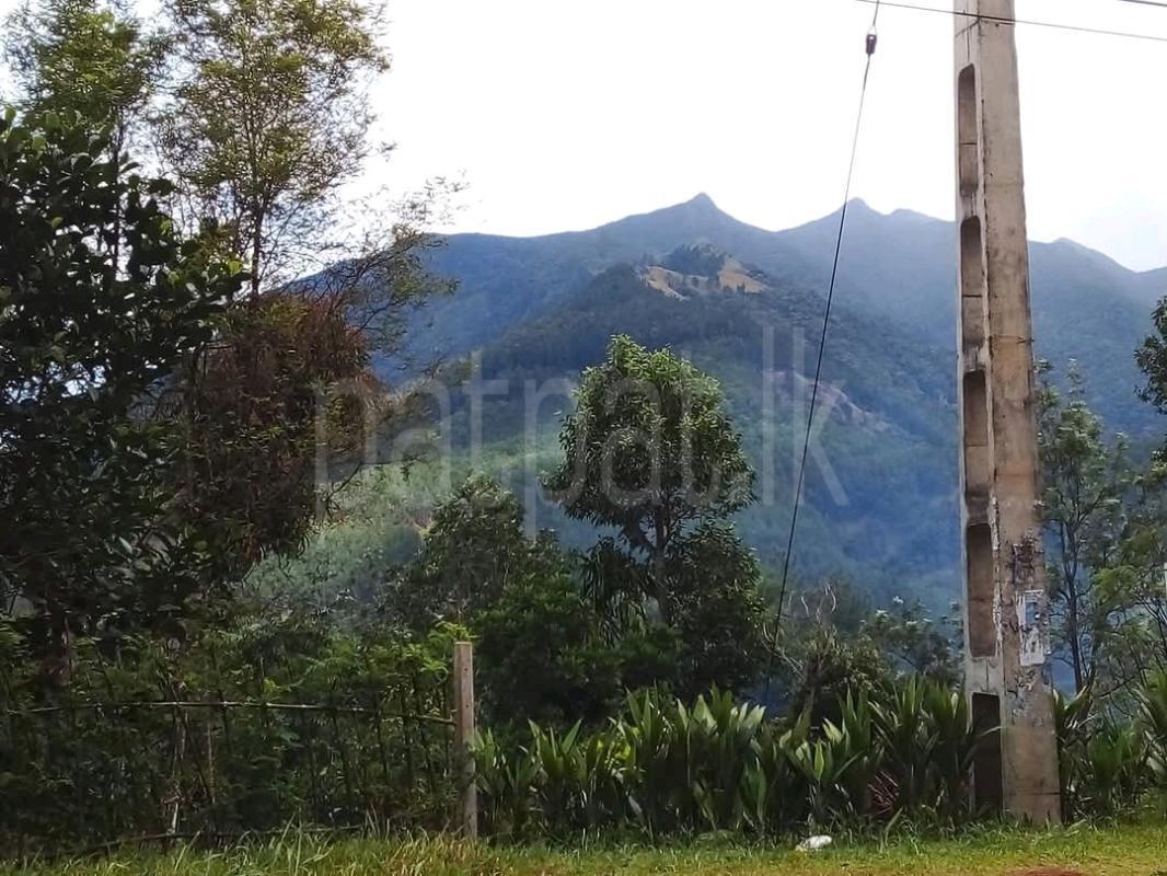 Agricultural Land for Sale in Badulla