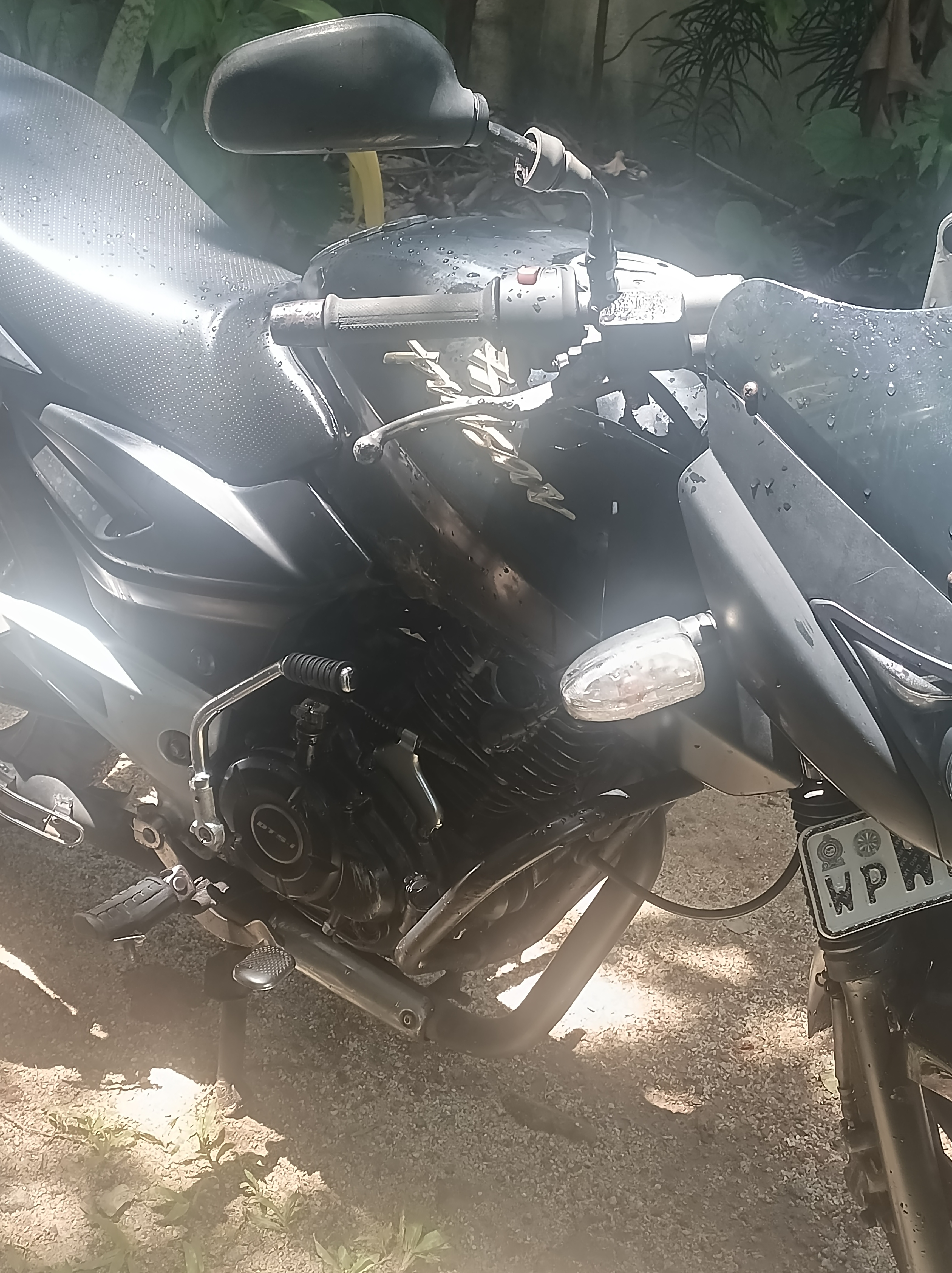 Bajaj Pulsar 2010 - Used Bike sale in Sri Lanka - patpat.lk