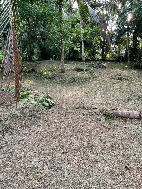 Residential Land for Sale in Ja-Ela
