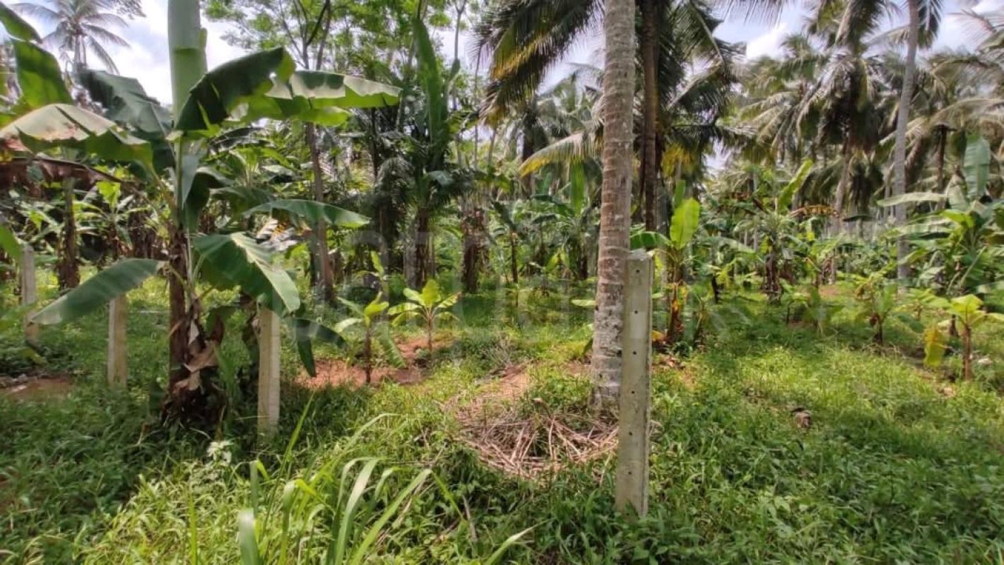 Residential Land for Rent in Galewela