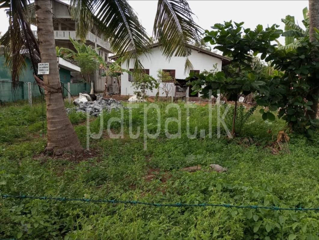 Advertisement image 1