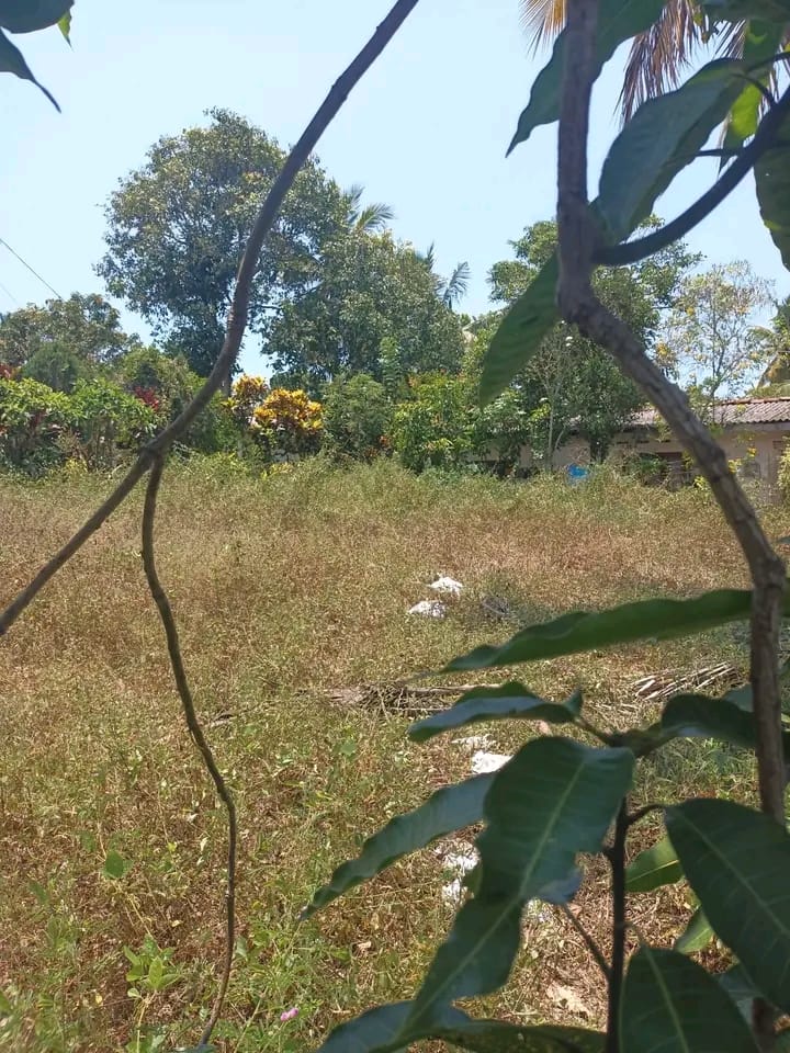 Commercial Land for Sale in Panadura ads-image-1