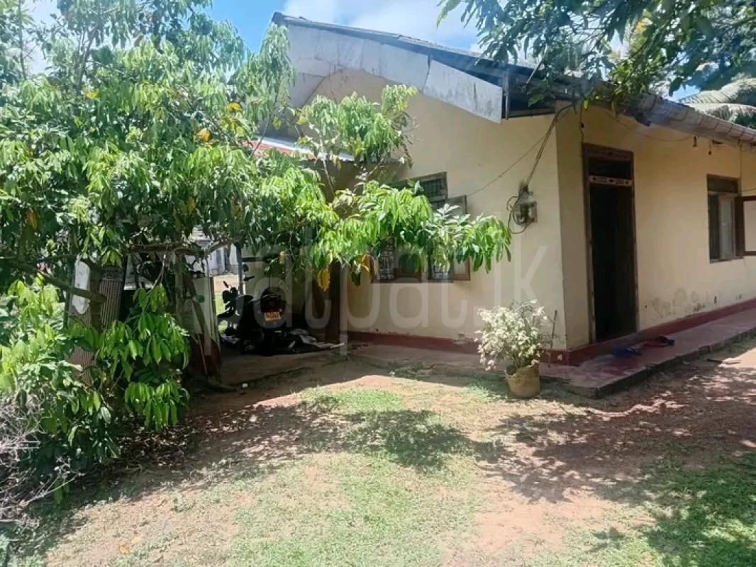 House for Sale in Piliyandala